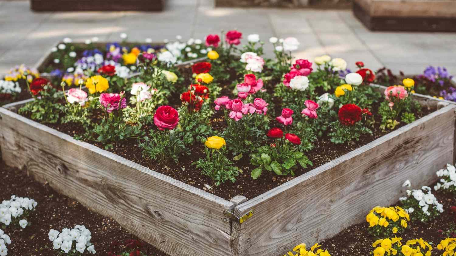 Image of raised flowerbed