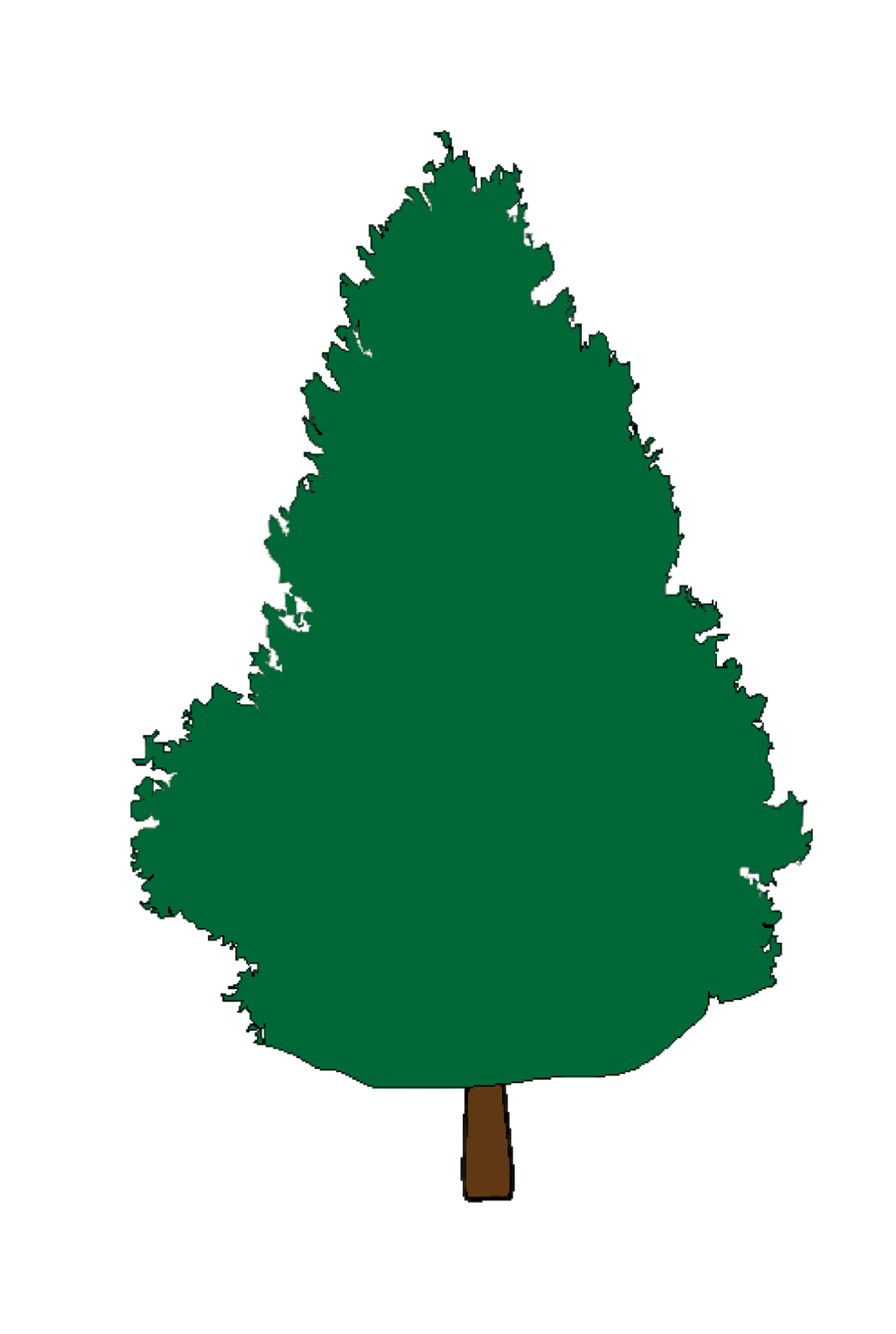 Cedar Lawn and Gardens